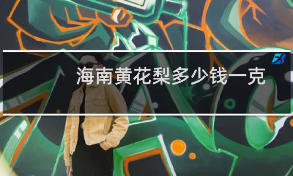 海南黄花梨多少钱一克