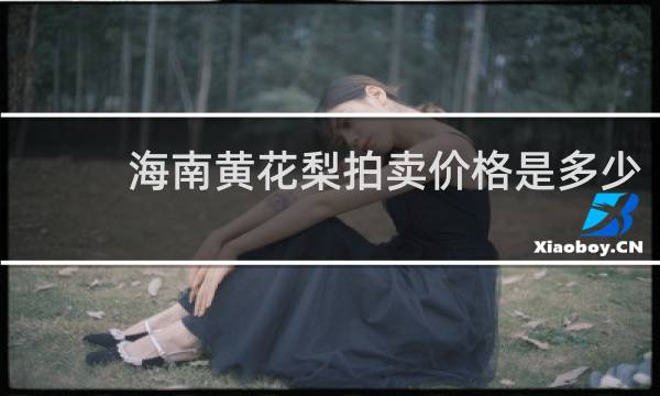 海南黄花梨拍卖价格是多少