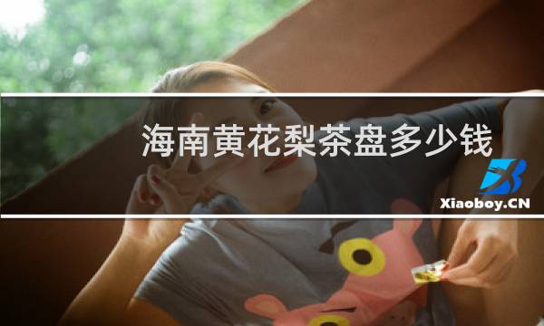 海南黄花梨茶盘多少钱