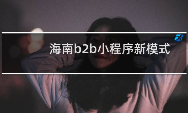 海南b2b小程序新模式