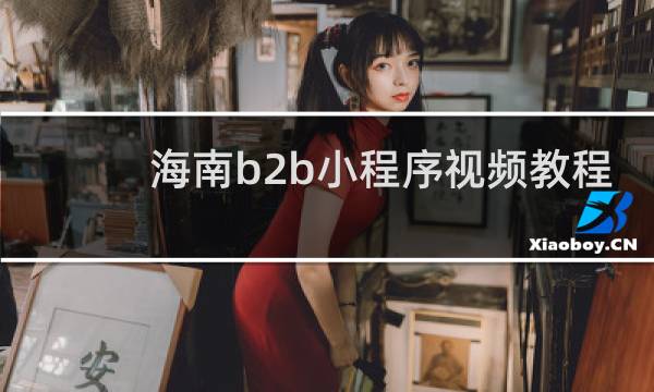 海南b2b小程序视频教程