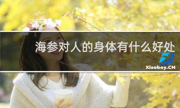 海参对人的身体有什么好处