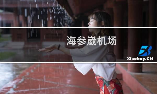 海参崴机场