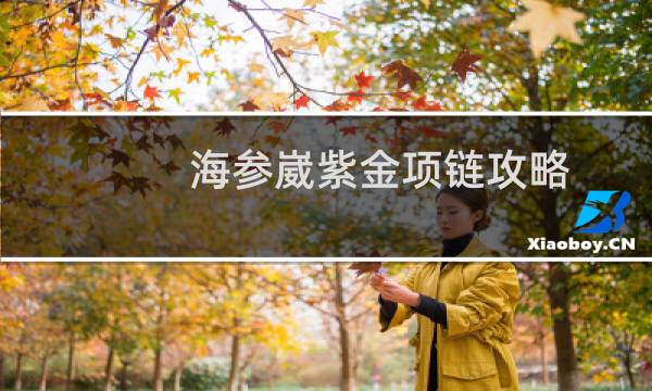 海参崴紫金项链攻略