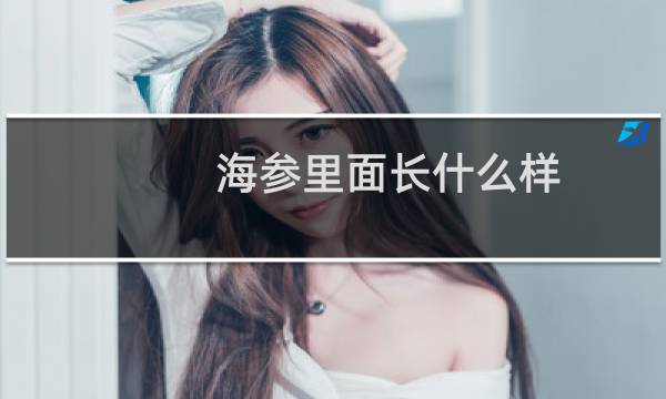 海参里面长什么样