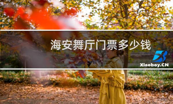 海安舞厅门票多少钱