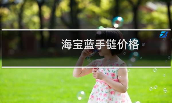 海宝蓝手链价格