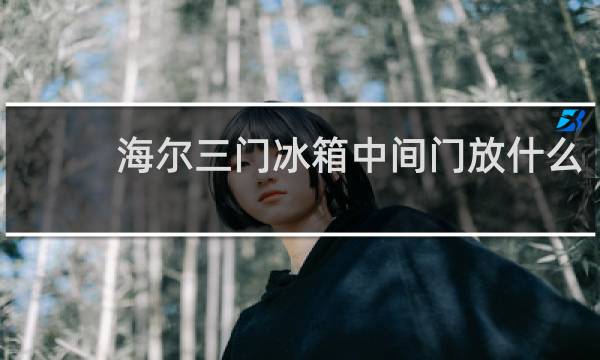 海尔三门冰箱中间门放什么
