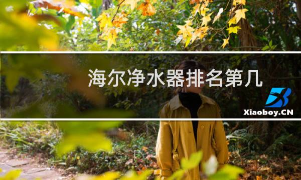海尔净水器排名第几