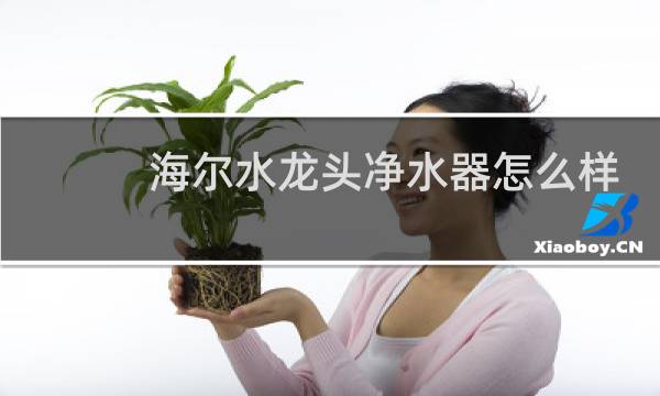 海尔水龙头净水器怎么样