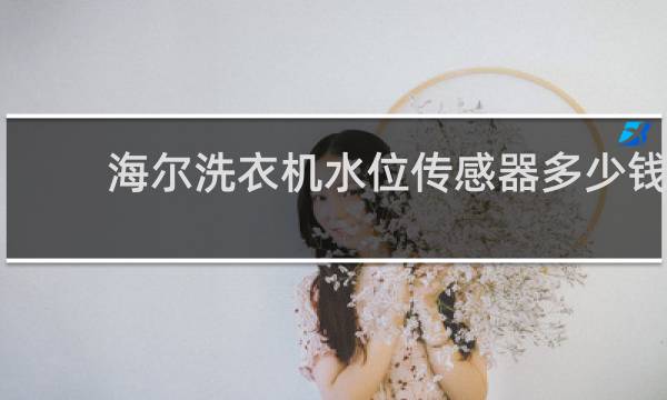 海尔洗衣机水位传感器多少钱