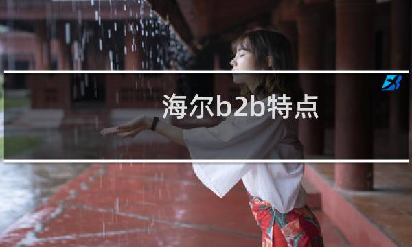 海尔b2b特点