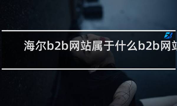 海尔b2b网站属于什么b2b网站