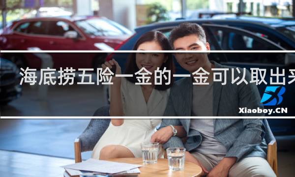 海底捞五险一金的一金可以取出来吗