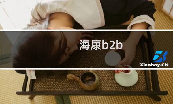 海康b2b 电脑