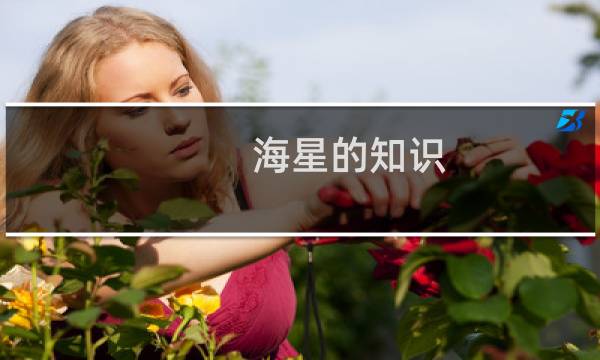 海星的知识