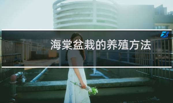 海棠盆栽的养殖方法