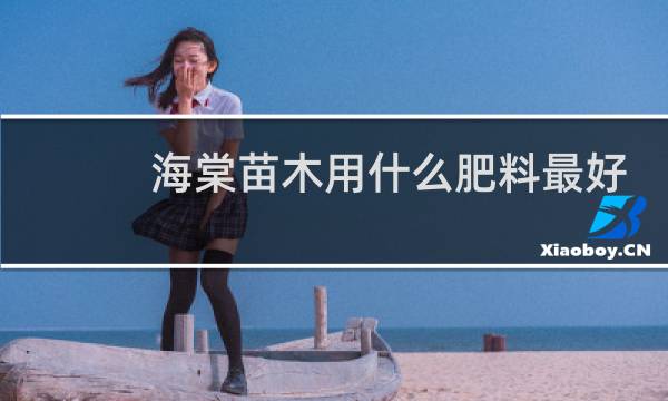 海棠苗木用什么肥料最好