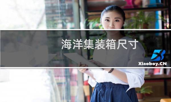 海洋集装箱尺寸