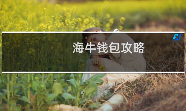 海牛钱包攻略
