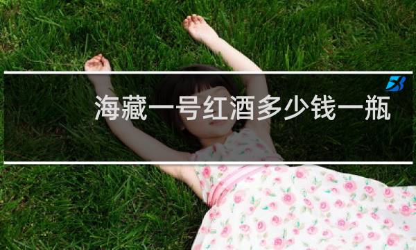 海藏一号红酒多少钱一瓶
