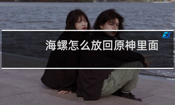 海螺怎么放回原神里面