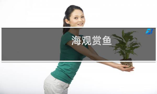 海观赏鱼 价格