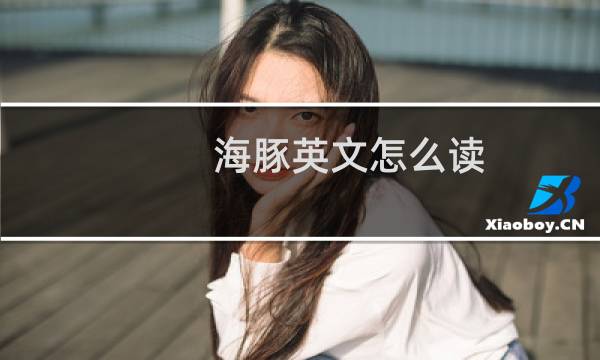 海豚英文怎么读
