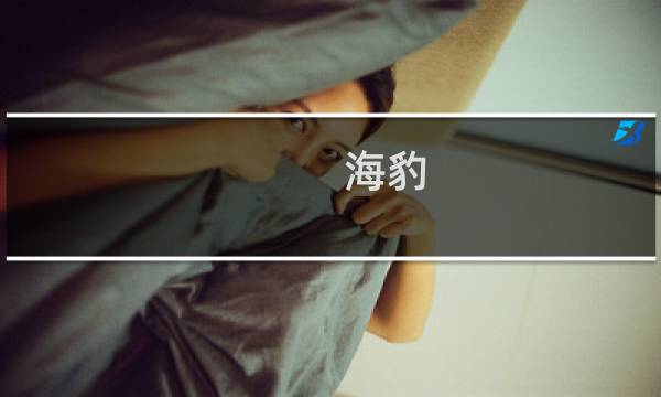 海豹 梦幻西游手游攻略