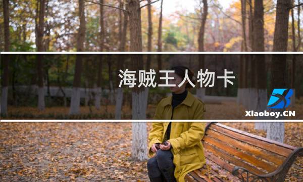 海贼王人物卡