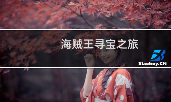 海贼王寻宝之旅 攻略