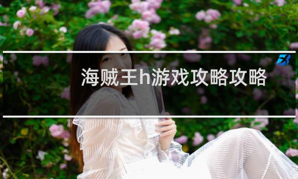 海贼王h游戏攻略攻略
