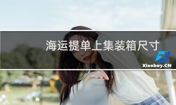 海运提单上集装箱尺寸