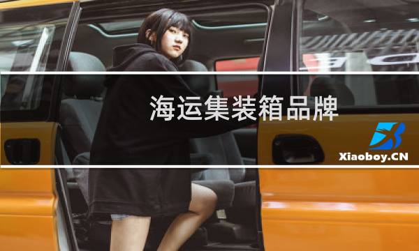 海运集装箱品牌