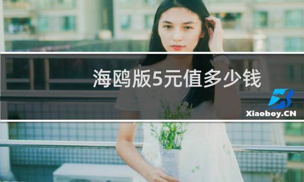 海鸥版5元值多少钱