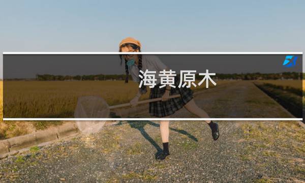 海黄原木 价格