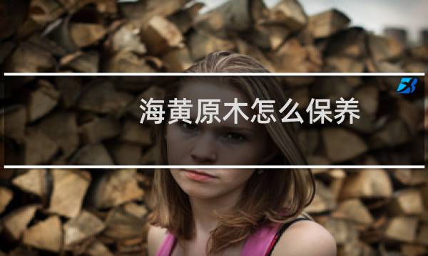 海黄原木怎么保养