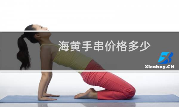 海黄手串价格多少