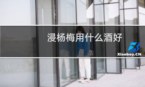 浸杨梅用什么酒好