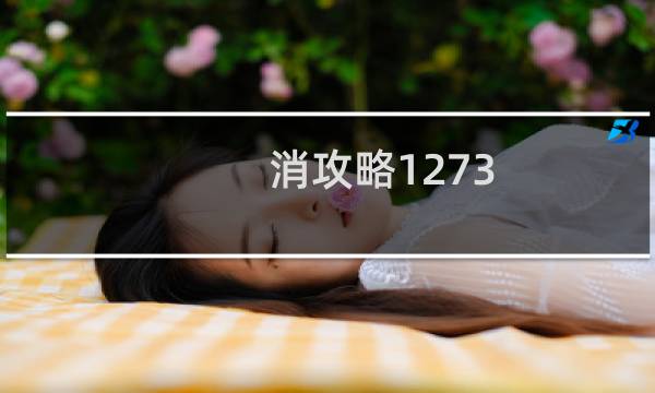消攻略1273