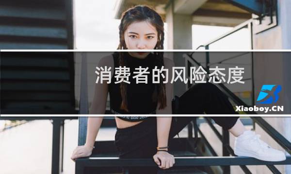 消费者的风险态度