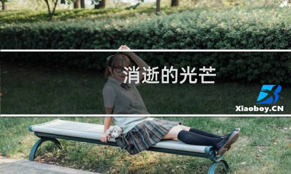消逝的光芒 怎么成了英文