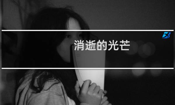 消逝的光芒 lan联机