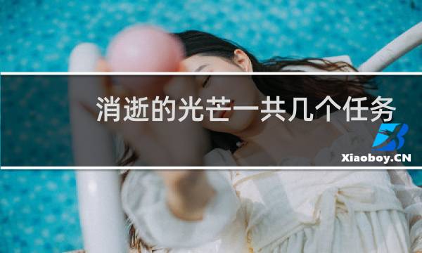 消逝的光芒一共几个任务