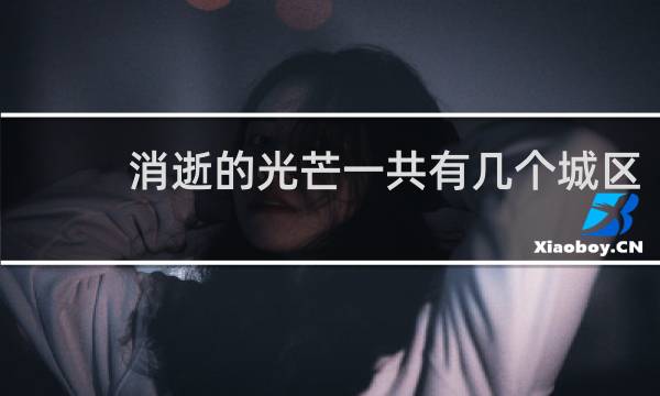 消逝的光芒一共有几个城区