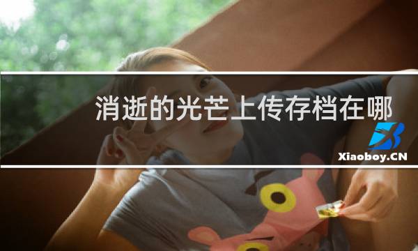消逝的光芒上传存档在哪