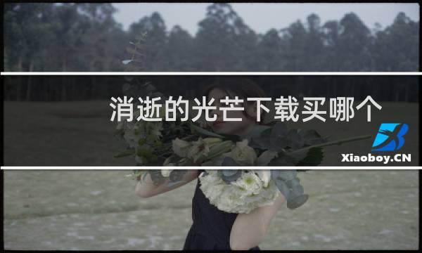 消逝的光芒下载买哪个