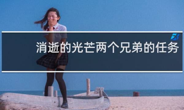消逝的光芒两个兄弟的任务