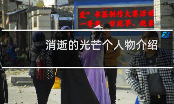 消逝的光芒个人物介绍