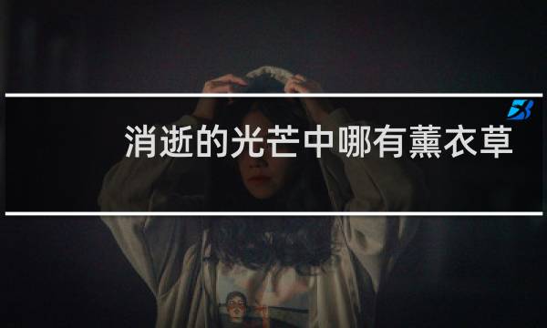 消逝的光芒中哪有薰衣草